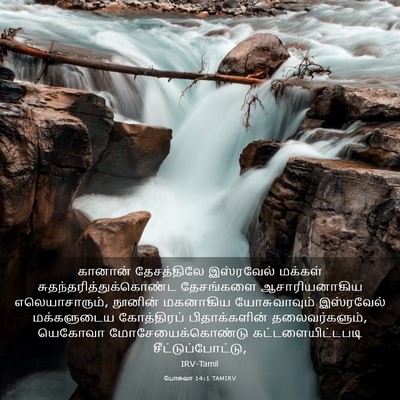 Picture 03 - யோசுவா 14:1 TAMIRV - கானான் தேசத்திலே - Bible Verse Picture