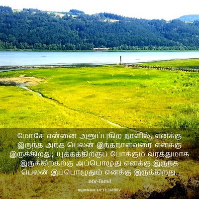 Picture 03 - யோசுவா 14:11 TAMIRV - மோசே என்னை - Bible Verse Picture