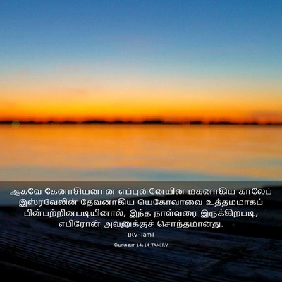 Picture 03 - யோசுவா 14:14 TAMIRV - ஆகவே கேனாசியனான - Bible Verse Picture
