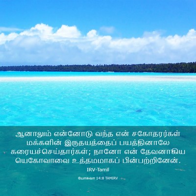 Picture 03 - யோசுவா 14:8 TAMIRV - ஆனாலும் என்னோடு - Bible Verse Picture