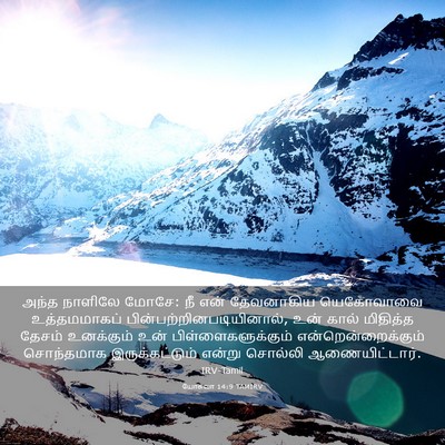 Picture 03 - யோசுவா 14:9 TAMIRV - அந்த நாளிலே மோசே: - Bible Verse Picture