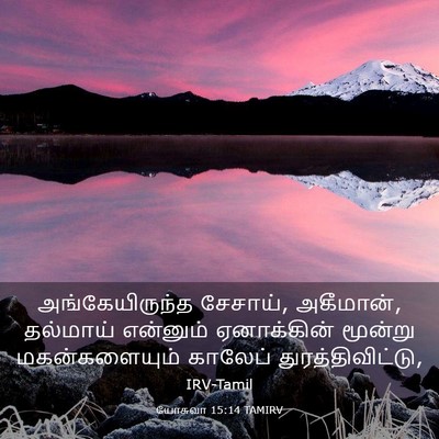 Picture 03 - யோசுவா 15:14 TAMIRV - அங்கேயிருந்த - Bible Verse Picture