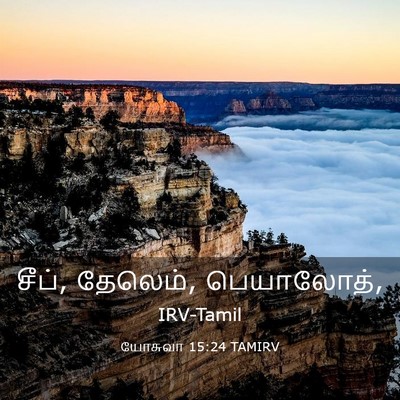 Picture 03 - யோசுவா 15:24 TAMIRV - சீப், தேலெம், - Bible Verse Picture