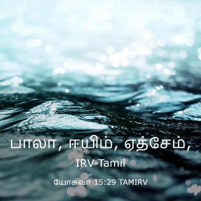 Picture 03 - யோசுவா 15:29 TAMIRV - பாலா, ஈயிம், - Bible Verse Picture