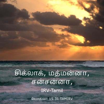 Picture 03 - யோசுவா 15:31 TAMIRV - சிக்லாக், - Bible Verse Picture