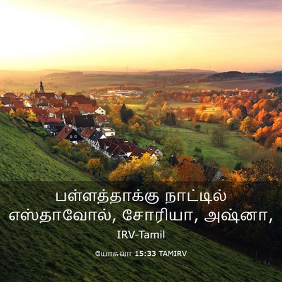 Picture 03 - யோசுவா 15:33 TAMIRV - பள்ளத்தாக்கு - Bible Verse Picture