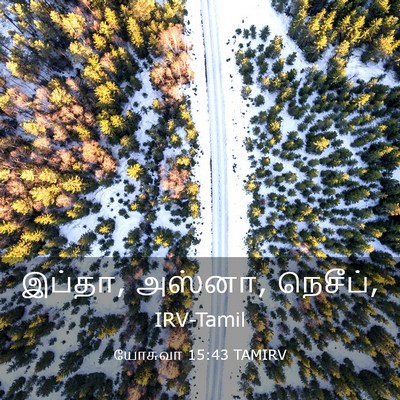 Picture 03 - யோசுவா 15:43 TAMIRV - இப்தா, அஸ்னா, - Bible Verse Picture