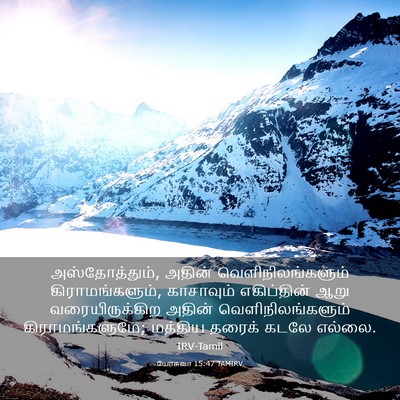Picture 03 - யோசுவா 15:47 TAMIRV - அஸ்தோத்தும், - Bible Verse Picture