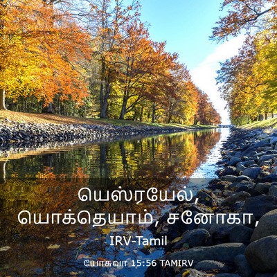 Picture 03 - யோசுவா 15:56 TAMIRV - யெஸ்ரயேல், - Bible Verse Picture