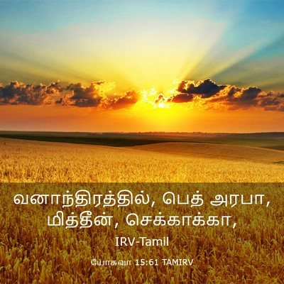 Picture 03 - யோசுவா 15:61 TAMIRV - வனாந்திரத்தில், - Bible Verse Picture