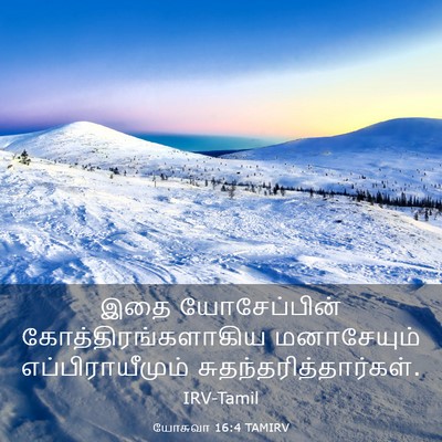 Picture 03 - யோசுவா 16:4 TAMIRV - இதை யோசேப்பின் - Bible Verse Picture