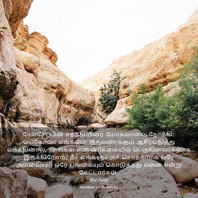 Picture 03 - யோசுவா 17:14 TAMIRV - யோசேப்பின் - Bible Verse Picture