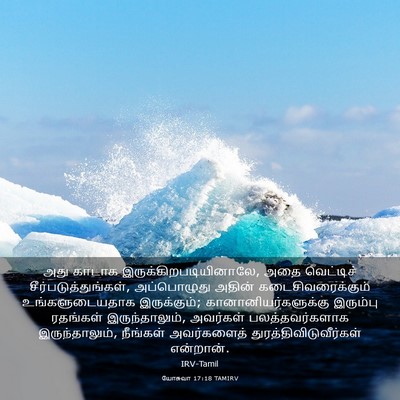 Picture 03 - யோசுவா 17:18 TAMIRV - அது காடாக - Bible Verse Picture