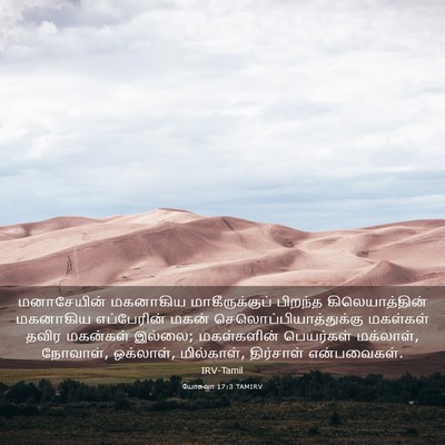 Picture 03 - யோசுவா 17:3 TAMIRV - மனாசேயின் மகனாகிய - Bible Verse Picture