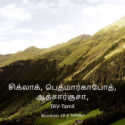 Picture 03 - யோசுவா 19:5 TAMIRV - சிக்லாக், - Bible Verse Picture