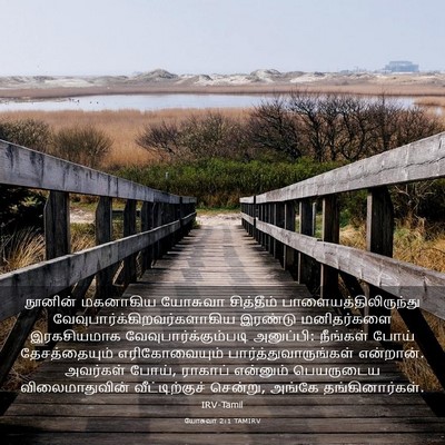 Picture 03 - யோசுவா 2:1 TAMIRV - நூனின் மகனாகிய - Bible Verse Picture