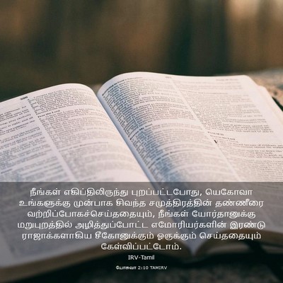Picture 03 - யோசுவா 2:10 TAMIRV - நீங்கள் - Bible Verse Picture