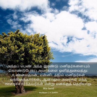 Picture 03 - யோசுவா 2:4 TAMIRV - அந்தப் பெண் அந்த - Bible Verse Picture