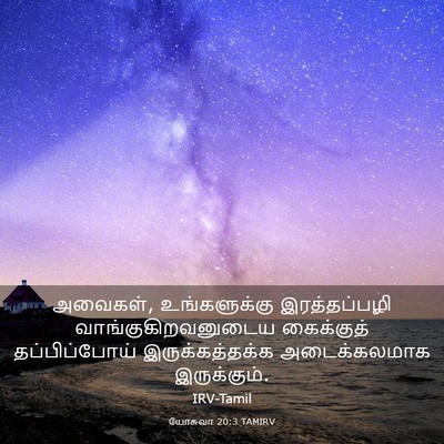 Picture 03 - யோசுவா 20:3 TAMIRV - அவைகள், - Bible Verse Picture