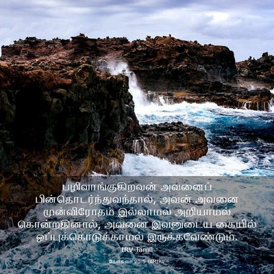 Picture 03 - யோசுவா 20:5 TAMIRV - பழிவாங்குகிறவன் - Bible Verse Picture