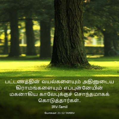 Picture 03 - யோசுவா 21:12 TAMIRV - பட்டணத்தின் - Bible Verse Picture