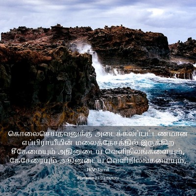 Picture 03 - யோசுவா 21:21 TAMIRV - கொலைசெய்தவனுக்கு - Bible Verse Picture