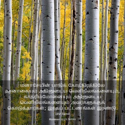 Picture 03 - யோசுவா 21:25 TAMIRV - மனாசேயின் பாதிக் - Bible Verse Picture