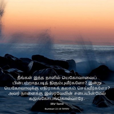 Picture 03 - யோசுவா 22:18 TAMIRV - நீங்கள் இந்த - Bible Verse Picture