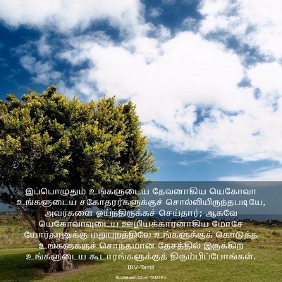 Picture 03 - யோசுவா 22:4 TAMIRV - இப்பொழுதும் - Bible Verse Picture