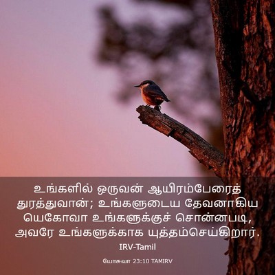 Picture 03 - யோசுவா 23:10 TAMIRV - உங்களில் ஒருவன் - Bible Verse Picture