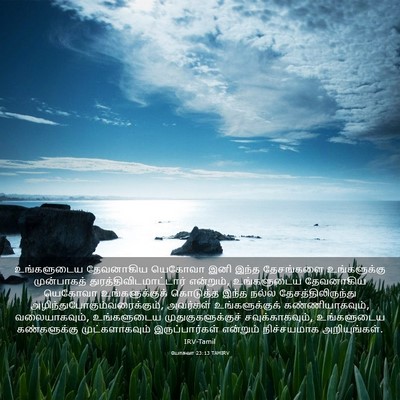 Picture 03 - யோசுவா 23:13 TAMIRV - உங்களுடைய - Bible Verse Picture