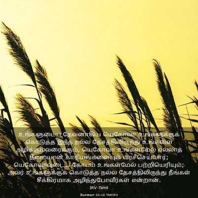Picture 03 - யோசுவா 23:16 TAMIRV - உங்களுடைய - Bible Verse Picture