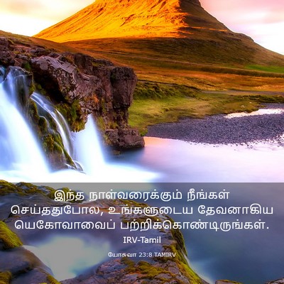 Picture 03 - யோசுவா 23:8 TAMIRV - இந்த - Bible Verse Picture