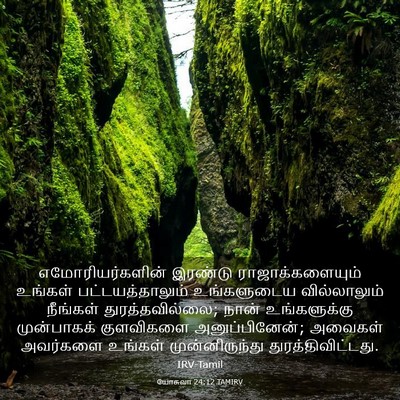 Picture 03 - யோசுவா 24:12 TAMIRV - எமோரியர்களின் - Bible Verse Picture