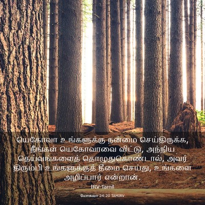 Picture 03 - யோசுவா 24:20 TAMIRV - யெகோவா உங்களுக்கு - Bible Verse Picture