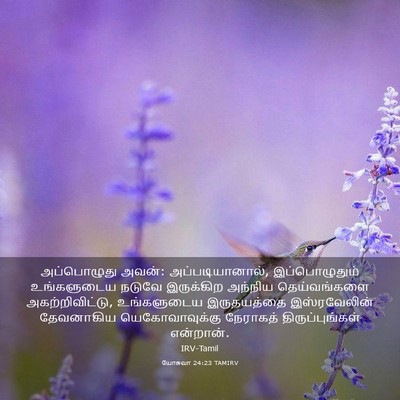 Picture 03 - யோசுவா 24:23 TAMIRV - அப்பொழுது அவன்: - Bible Verse Picture