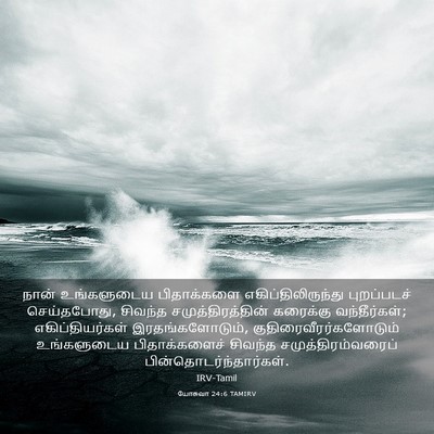 Picture 03 - யோசுவா 24:6 TAMIRV - நான் உங்களுடைய - Bible Verse Picture