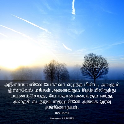 Picture 03 - யோசுவா 3:1 TAMIRV - அதிகாலையிலே - Bible Verse Picture
