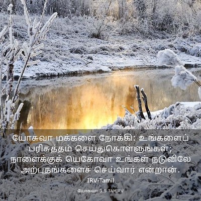 Picture 03 - யோசுவா 3:5 TAMIRV - யோசுவா மக்களை - Bible Verse Picture