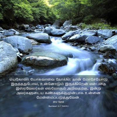 Picture 03 - யோசுவா 3:7 TAMIRV - யெகோவா யோசுவாவை - Bible Verse Picture
