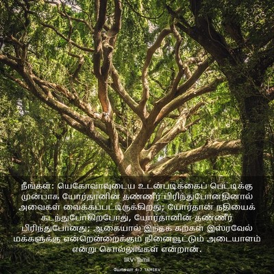 Picture 03 - யோசுவா 4:7 TAMIRV - நீங்கள்: - Bible Verse Picture