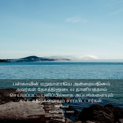 Picture 03 - யோசுவா 5:11 TAMIRV - பஸ்காவின் - Bible Verse Picture
