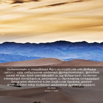 Picture 03 - யோசுவா 5:6 TAMIRV - யெகோவாவுடைய - Bible Verse Picture