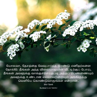 Picture 03 - யோசுவா 6:22 TAMIRV - யோசுவா, தேசத்தை - Bible Verse Picture