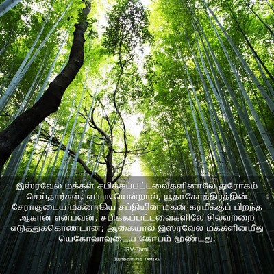 Picture 03 - யோசுவா 7:1 TAMIRV - இஸ்ரவேல் மக்கள் - Bible Verse Picture