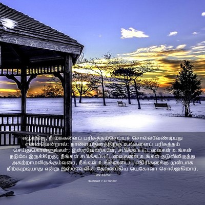 Picture 03 - யோசுவா 7:13 TAMIRV - எழுந்திரு, நீ - Bible Verse Picture