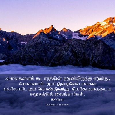 Picture 03 - யோசுவா 7:23 TAMIRV - அவைகளைக் - Bible Verse Picture