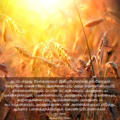 Picture 03 - யோசுவா 7:24 TAMIRV - அப்பொழுது - Bible Verse Picture