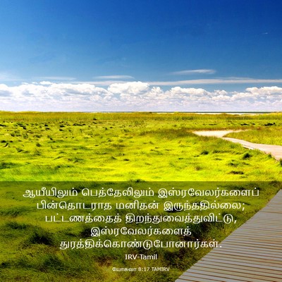 Picture 03 - யோசுவா 8:17 TAMIRV - ஆயீயிலும் - Bible Verse Picture