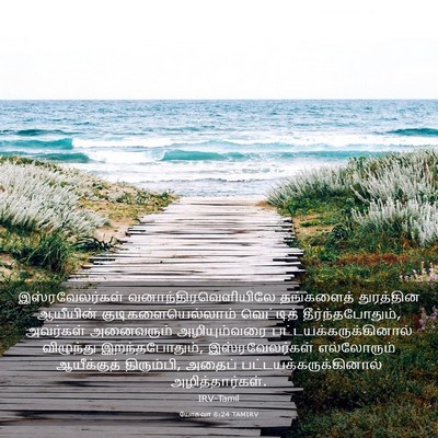 Picture 03 - யோசுவா 8:24 TAMIRV - இஸ்ரவேலர்கள் - Bible Verse Picture